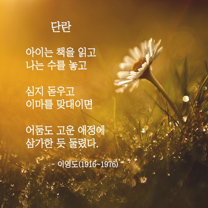 단란 - 이영도 < 행복한 詩 읽기 < 라이프 < 기사본문 - 마음건강 길 [행복한 詩 읽기] 단란 - 이영도