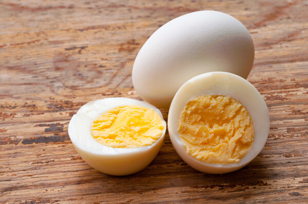 단백질 달걀 삶은 계란