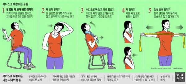 목디스크베개 이런건