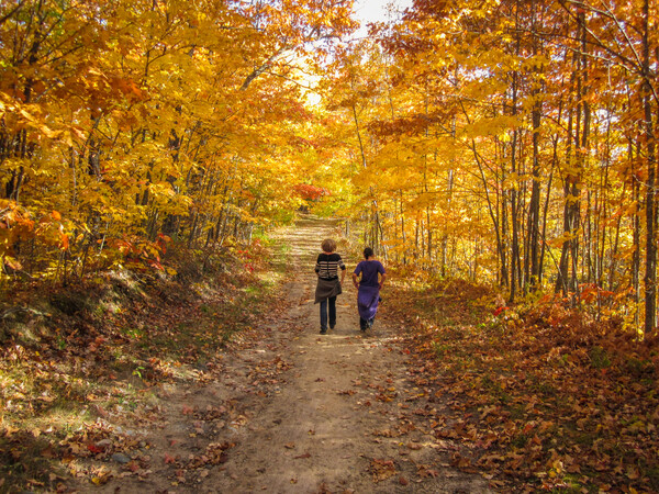 ◇ Exercising with a partner is beneficial to health and socially.  *Source = shutterstock