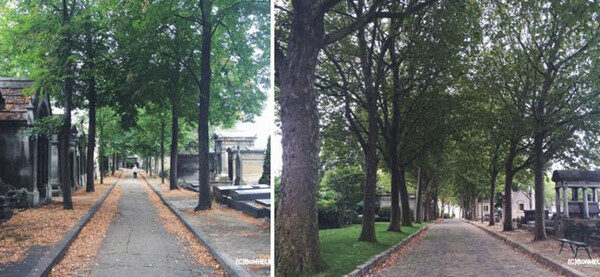 ◇ 프랑스 파리의 대표적 공원이자 관광명소가 된 페르 라셰즈 묘지 모습이다.