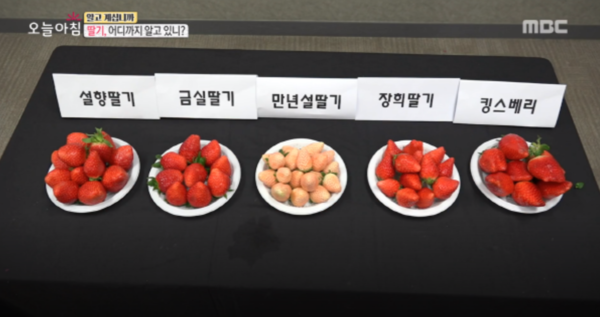 ◇해당 방송에서는 품종별로 당도가 가장 높은 딸기가 무엇인지 직접 보여줬다. / *출처=MBC '생방송 오늘아침' 방송 캡처