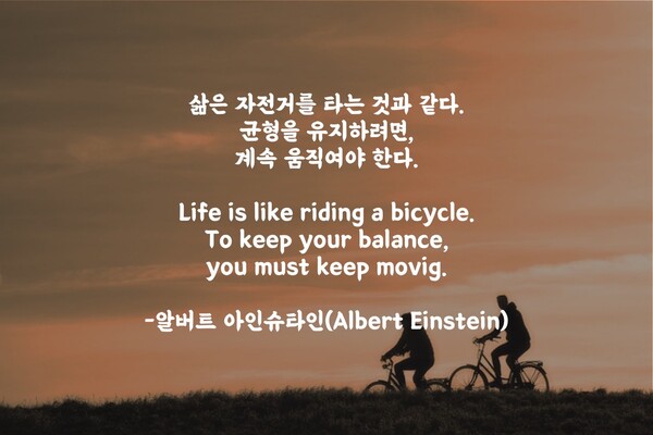 혈액이나 자전거보다 두꺼운 것은 없습니다