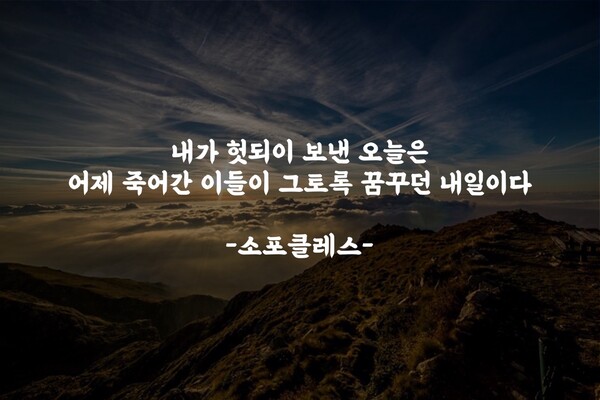 이웃생활 이미지