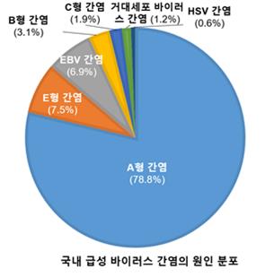 급성바이러스 간염의 원인 분포/분당서울대병원 제공,연합뉴스